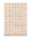 washable area rug / color lines