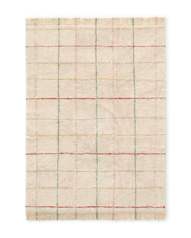 washable area rug / color lines
