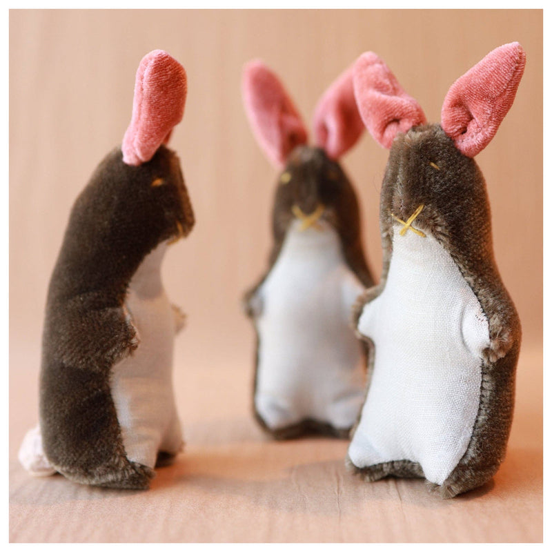 kit cottontail / rosy spring edition