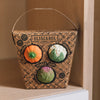 Oli & Carol sensory balls packaging with three colorful balls on a wooden shelf.