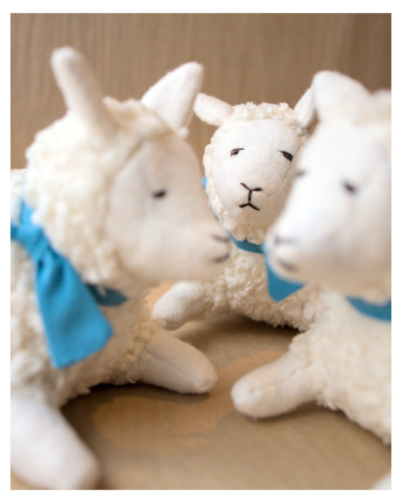 clover grazer the lamb