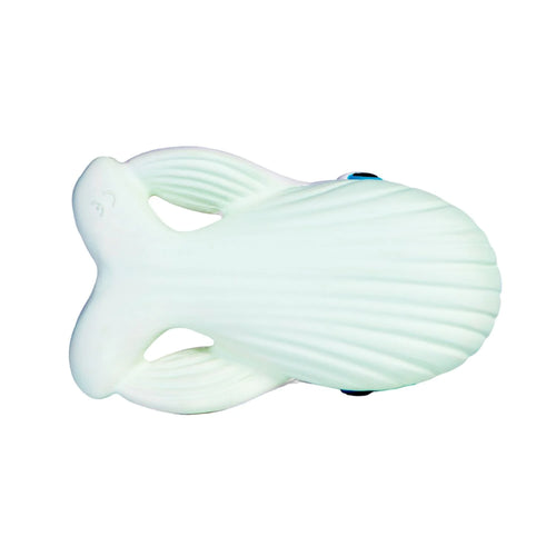 walter the whale bath toy