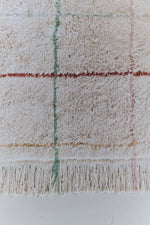 Close-up of a textured washable rug with plaid pattern and fringes on a white background