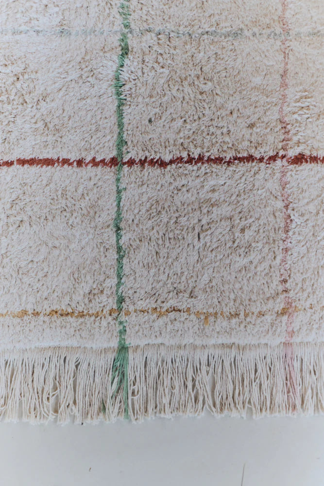 Close-up of a textured washable rug with plaid pattern and fringes on a white background