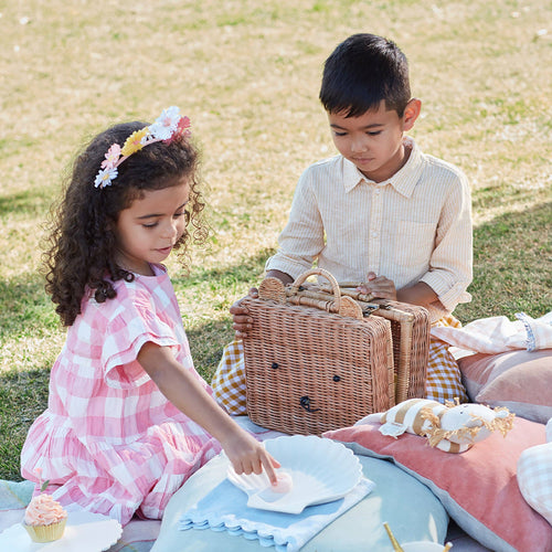 bear rattan suitcase