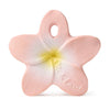bella the flower mini baby teether