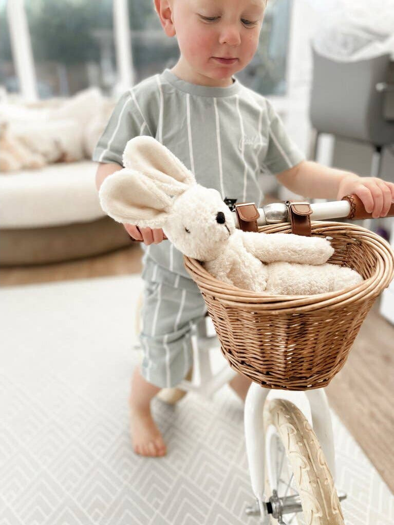 Child with a bicycle basket containing stuffed animals in a home setting