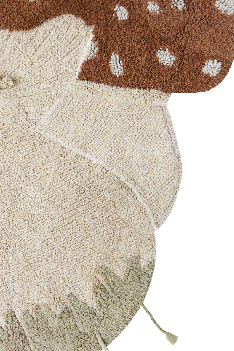 washable cotton rug / boletus