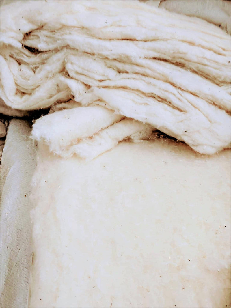 organic cotton pillow / toddler