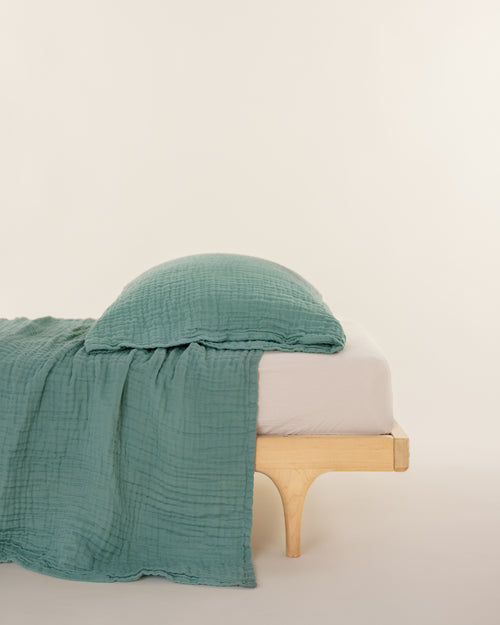 sale bundle // 2 pillowcases & king bed blanket